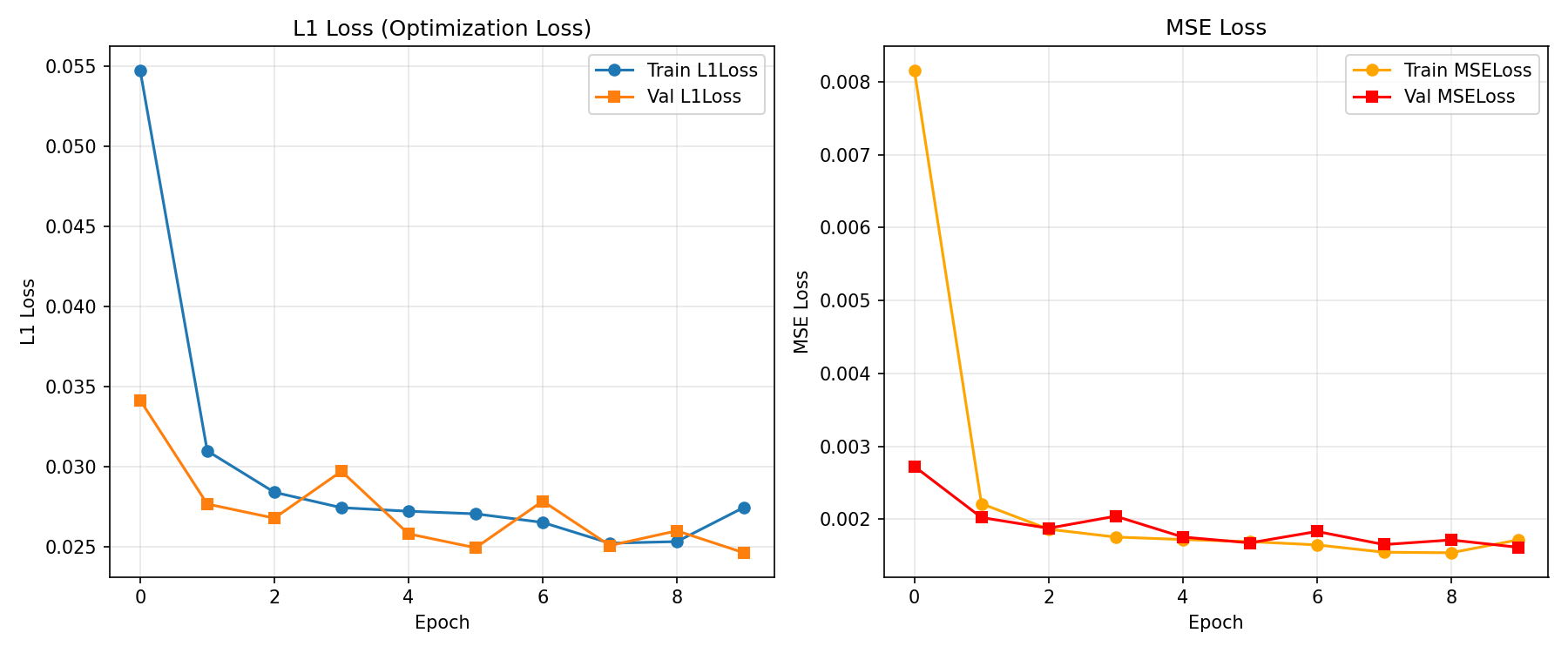 Training Curves Comparison